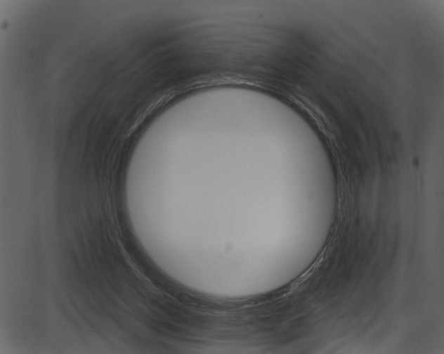X0000086220158200703291013
