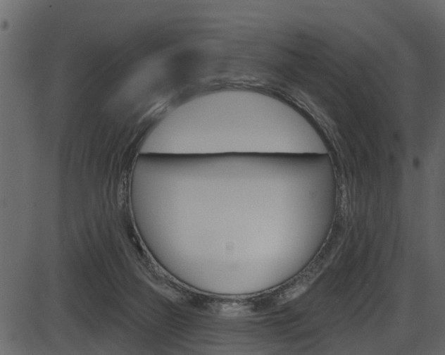 X0000086220165200703291013