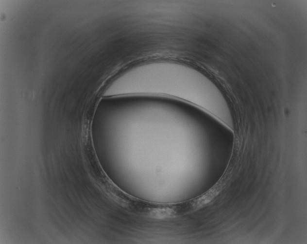 X0000086220168200703291013