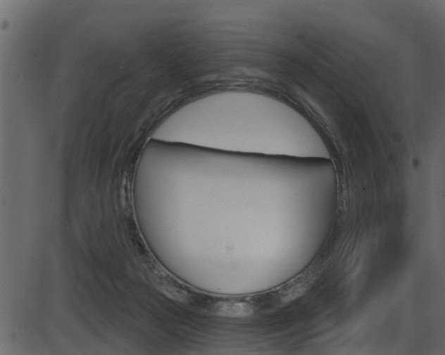 X0000086220169200703291013