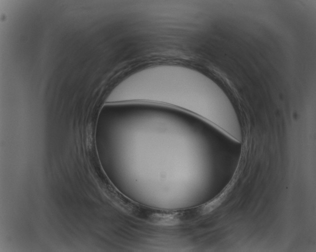 X0000086220170200703291013