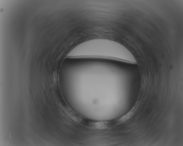 X0000086220184200703291013