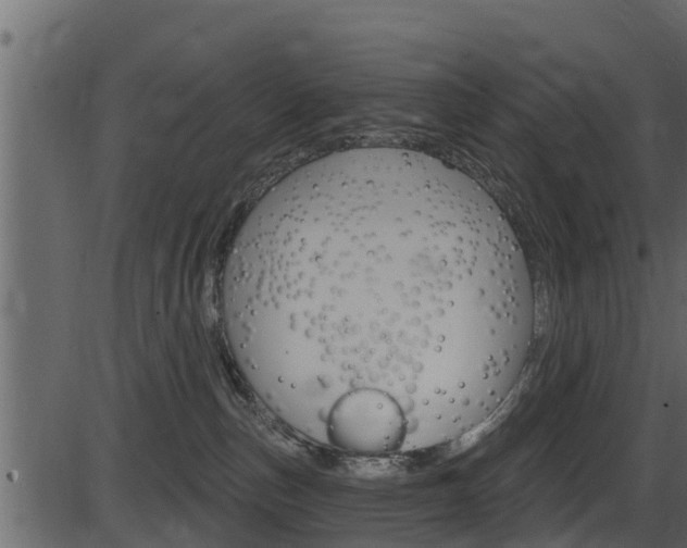 X0000086220187200703291013