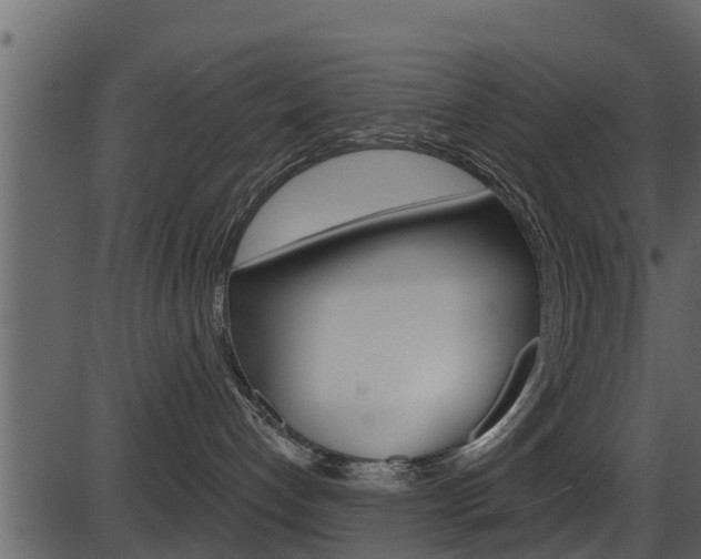 X0000086220192200703291013