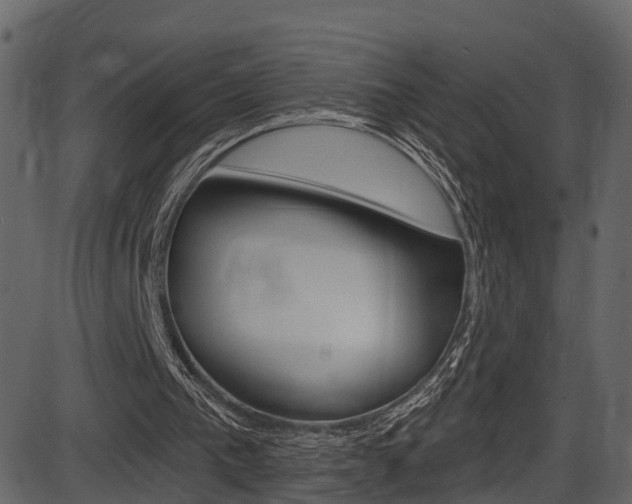 X0000086220193200703291012