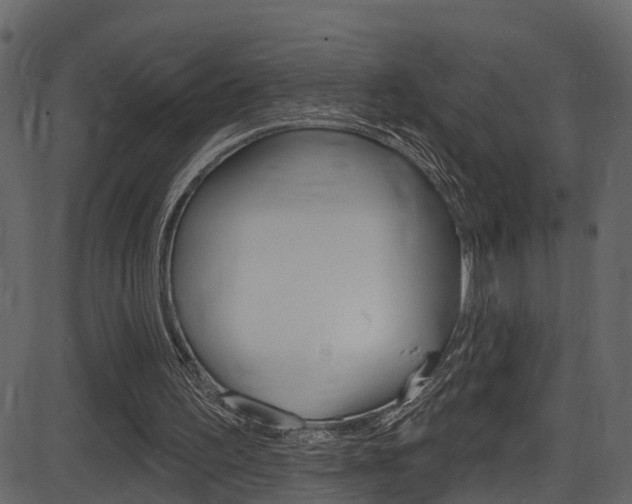 X0000086220195200703291012