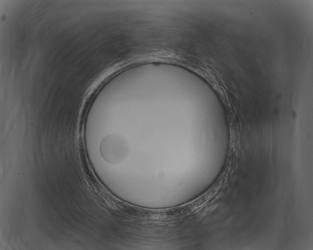 X0000086220196200703291012
