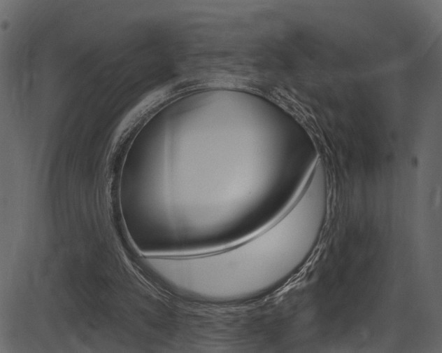 X0000086220197200703291012