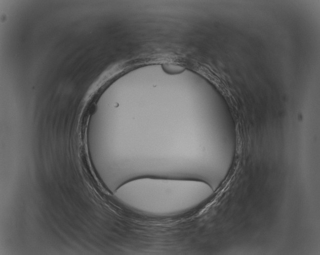 X0000086220198200703291012