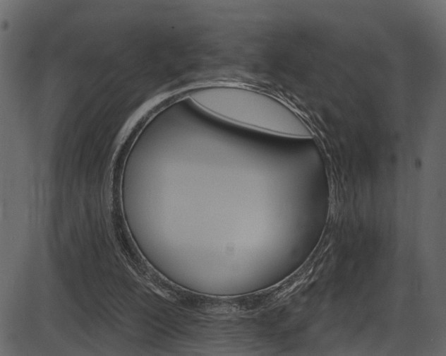X0000086220200200703291012