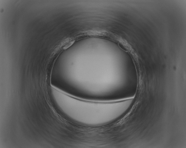 X0000086220201200703291012