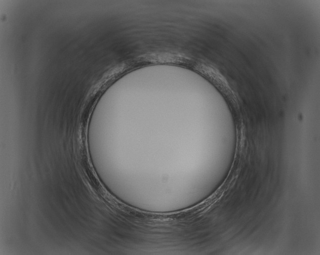 X0000086220202200703291012