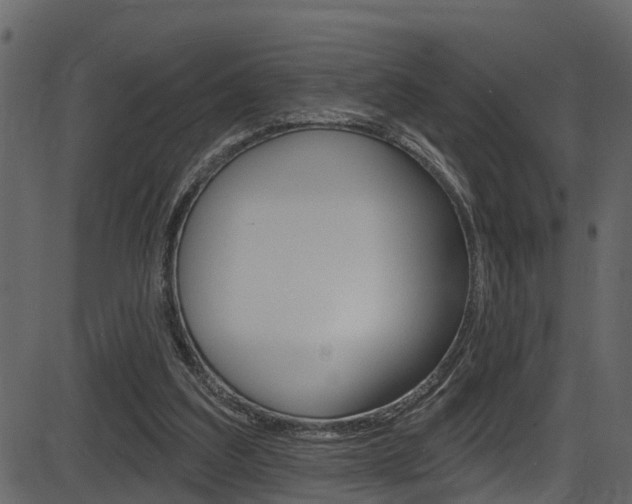 X0000086220203200703291012