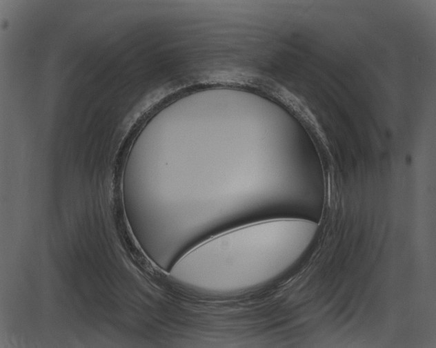 X0000086220204200703291012