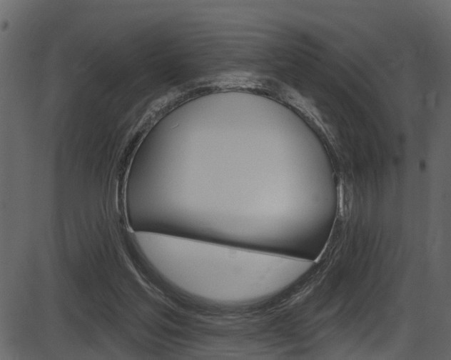 X0000086220205200703291012