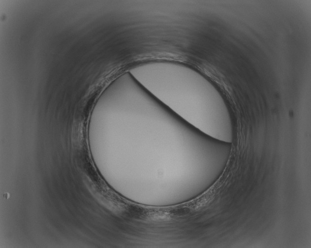 X0000086220206200703291012