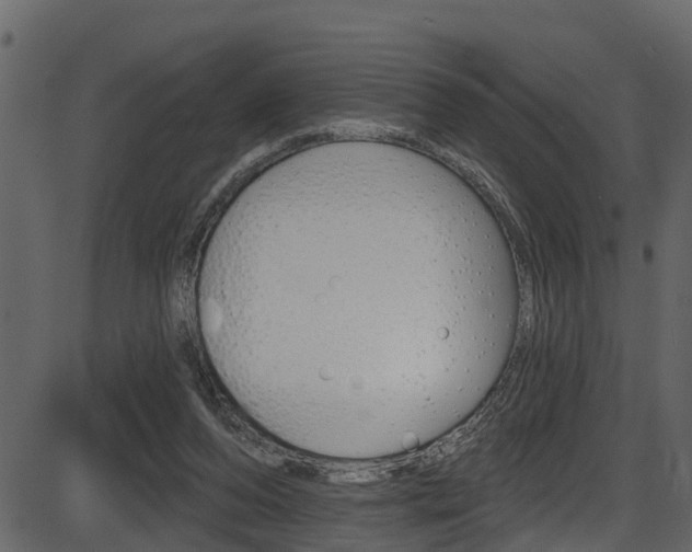 X0000086220208200703291012