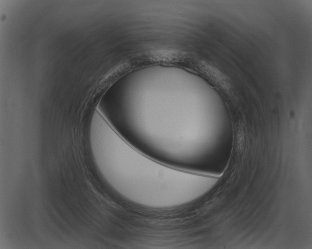 X0000086220211200703291012