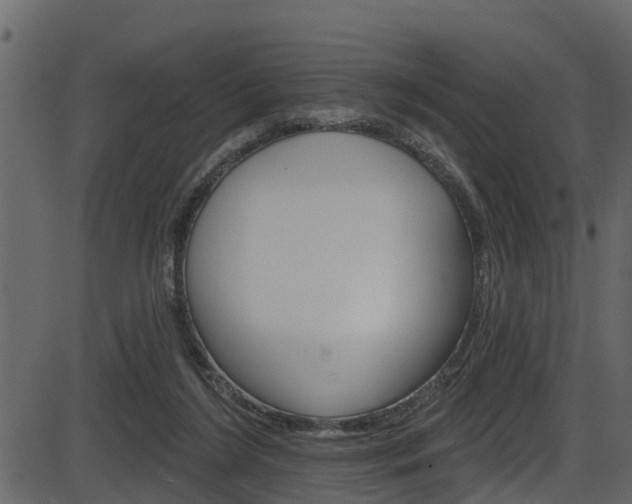 X0000086220212200703291012