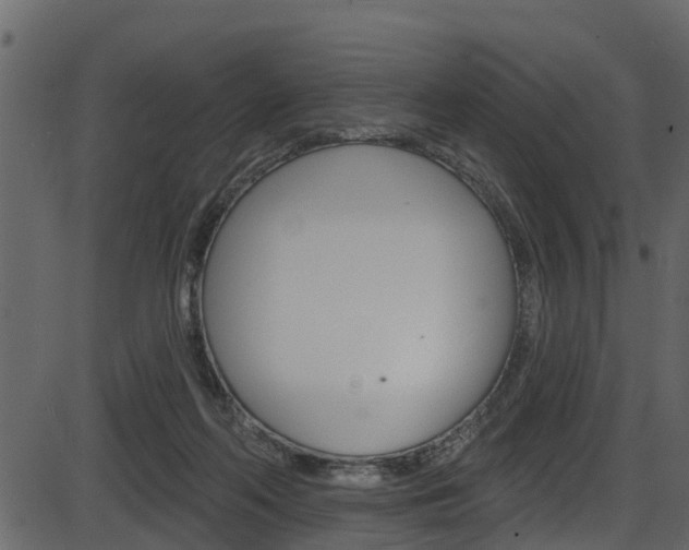 X0000086220214200703291012