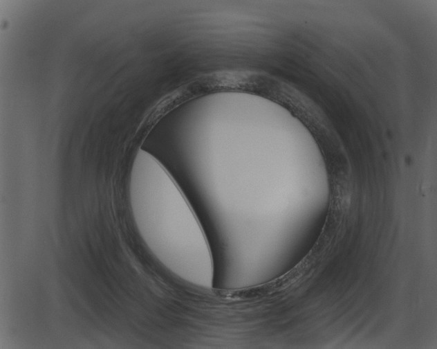 X0000086220216200703291012