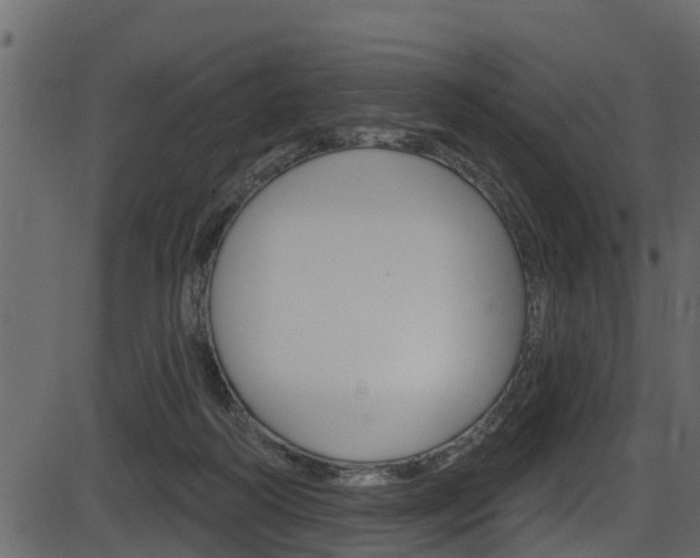 X0000086220218200703291012