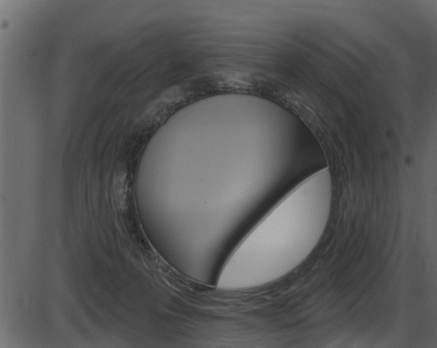 X0000086220223200703291012
