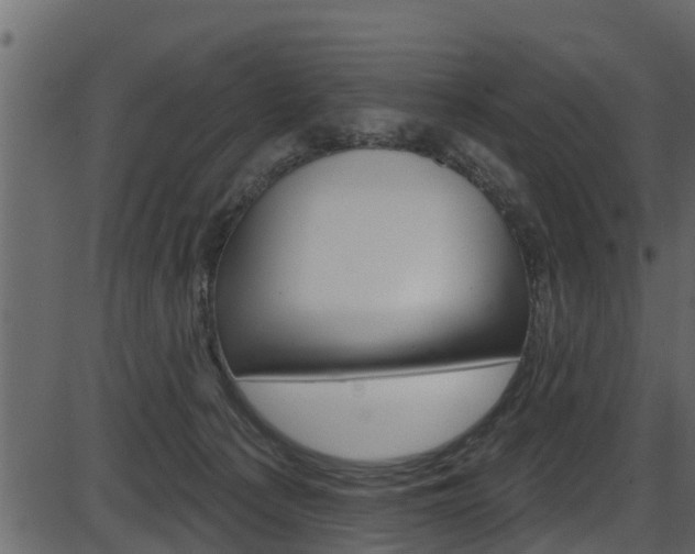 X0000086220225200703291012