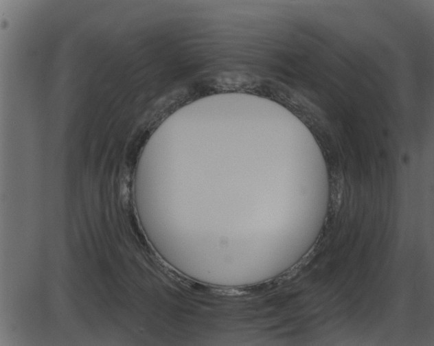 X0000086220226200703291012