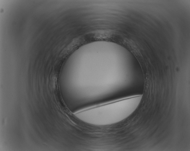 X0000086220227200703291012