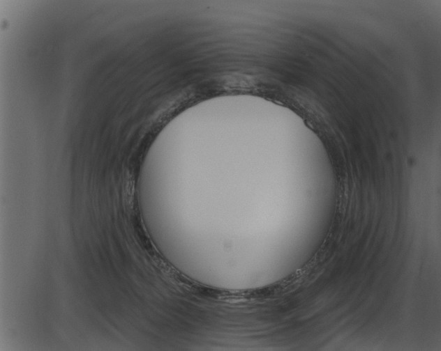 X0000086220228200703291012