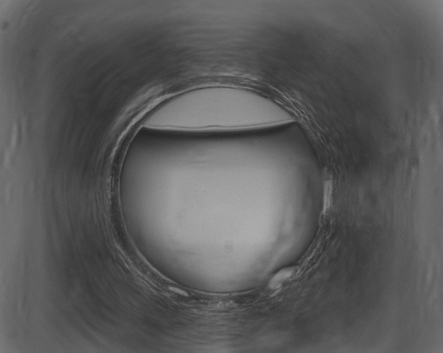X0000086220243200703291011