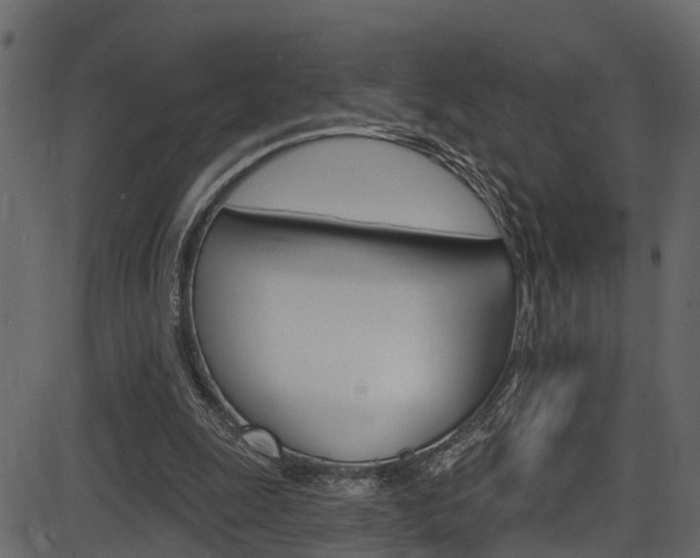 X0000086220247200703291011
