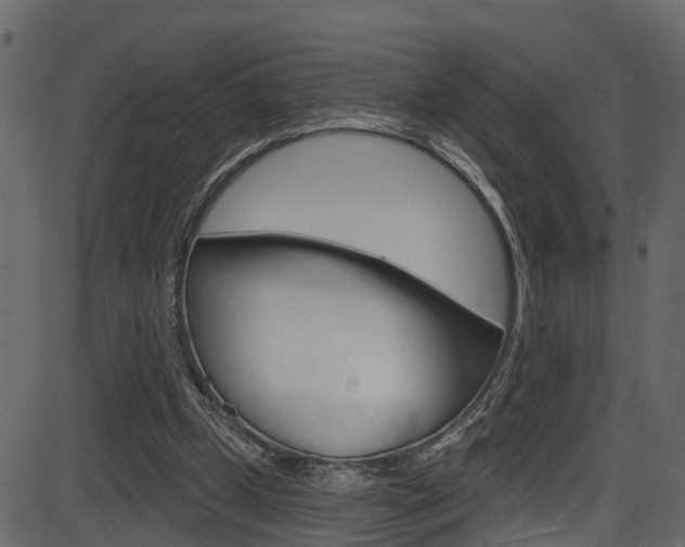 X0000086220249200703291011
