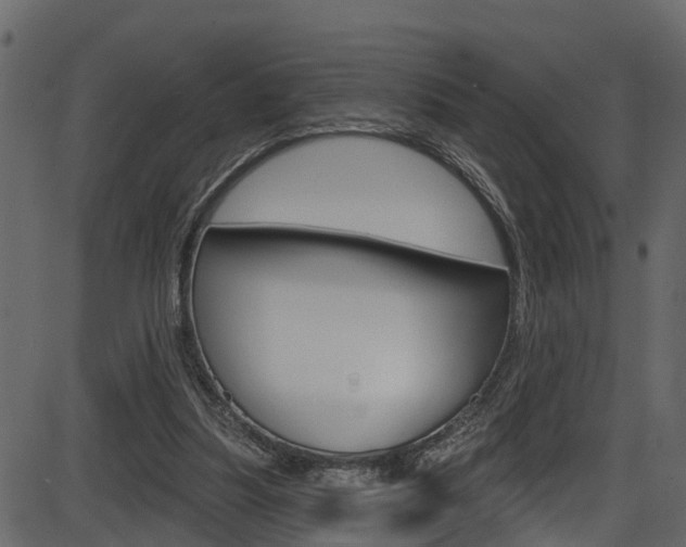 X0000086220251200703291011