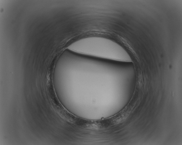 X0000086220259200703291011