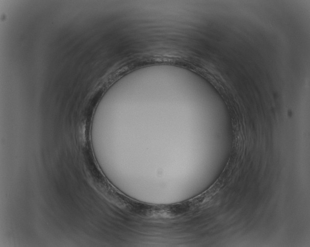 X0000086220262200703291011