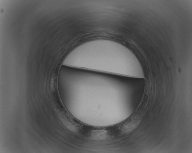 X0000086220266200703291011