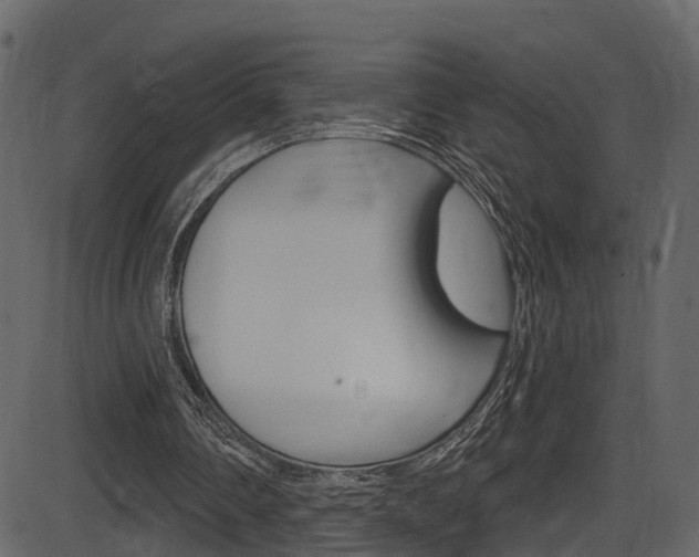 X0000086220290200703291011