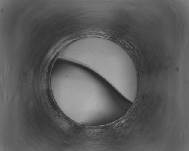 X0000086220291200703291011