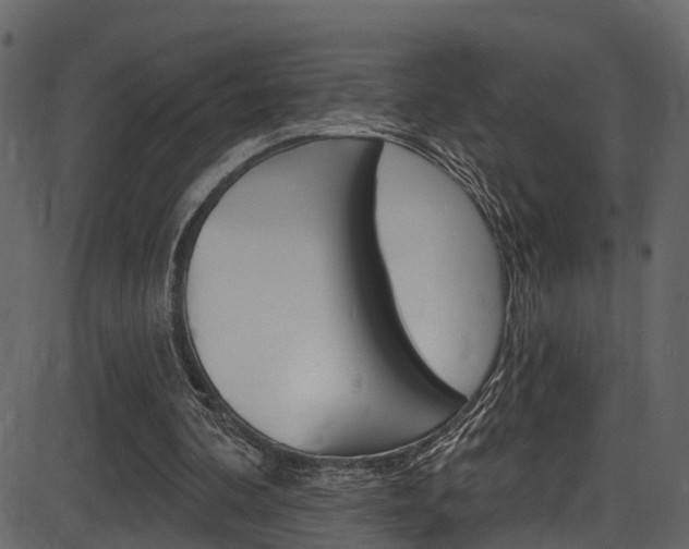 X0000086220292200703291011