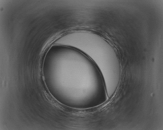 X0000086220293200703291011