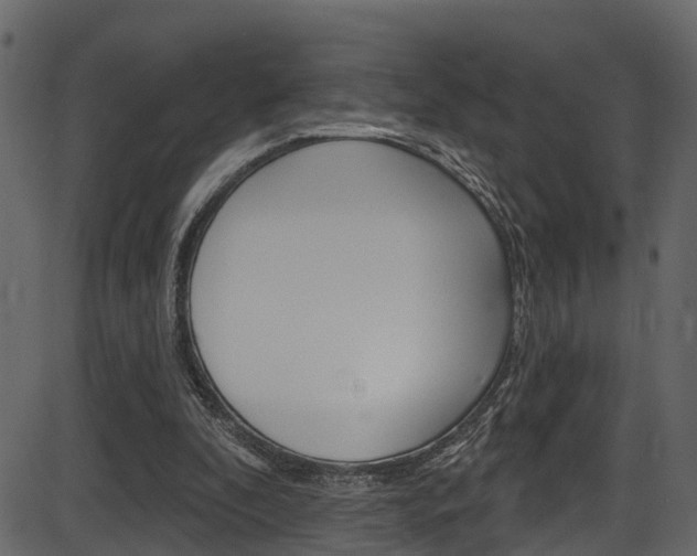 X0000086220296200703291011