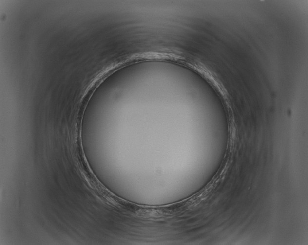 X0000086220297200703291011