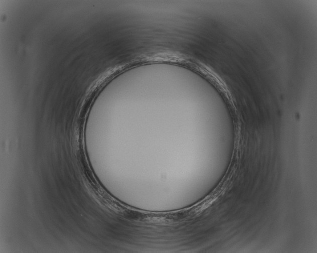 X0000086220298200703291011