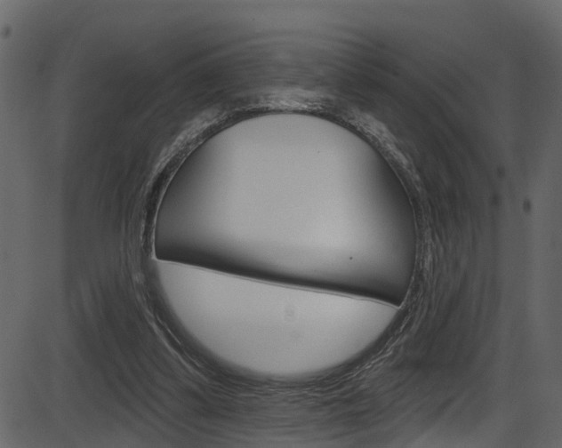 X0000086220299200703291011