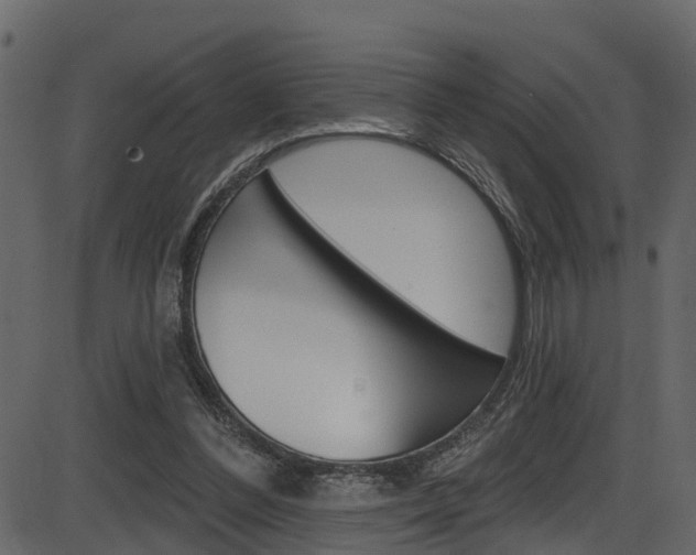 X0000086220300200703291011