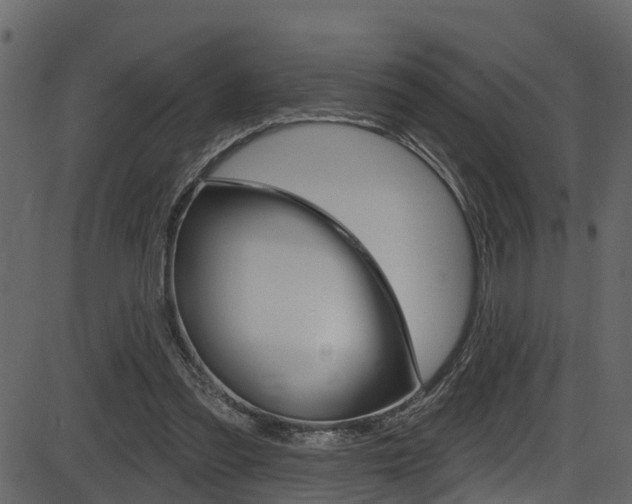 X0000086220301200703291011
