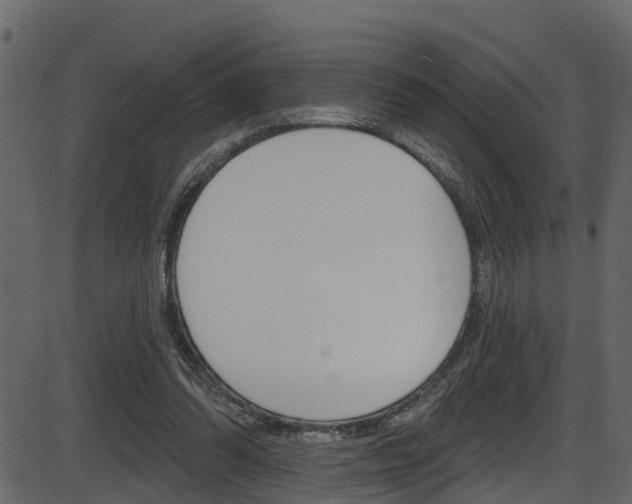 X0000086220302200703291011