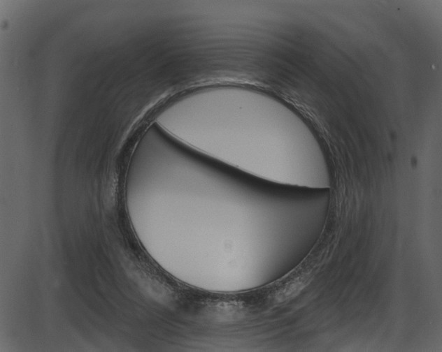 X0000086220304200703291011
